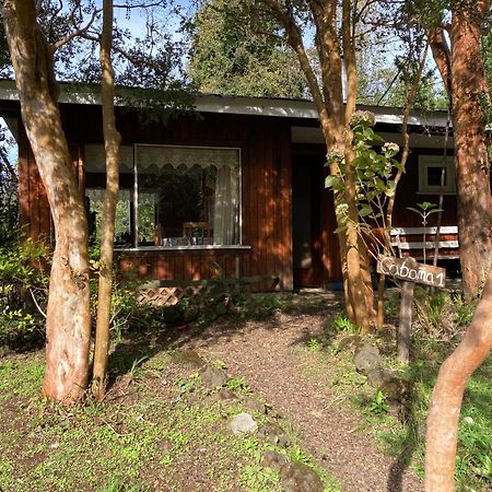 Cabanas El Bosque Patagonico Frutillar Eksteriør bilde