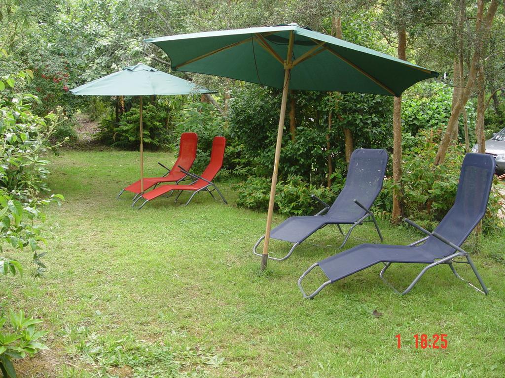 Cabanas El Bosque Patagonico Frutillar Rom bilde