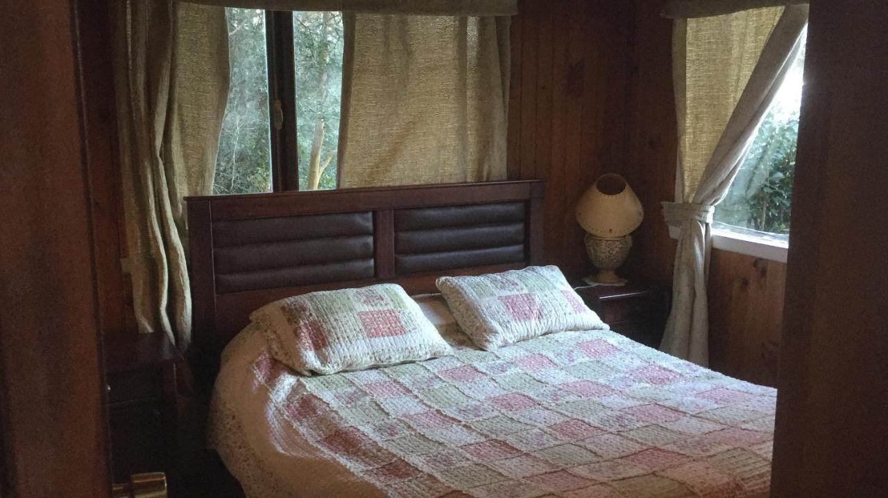 Cabanas El Bosque Patagonico Frutillar Eksteriør bilde